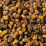 Перга бджолина 1000 грам, фото 4