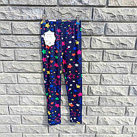 Лосини дитячі темно-сині у зірках