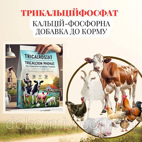 Трикальційфосфат кормовий 25 кг | для птиці,свиней,ВРХ та риб, фото 1