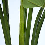 Штучна рослина Engard hilodendron, 120 см (TW-39), фото 5