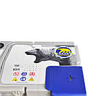 Автомобільний акумулятор BAREN Blu polar  60Аh 600А R+ (h=175) (L2B), фото 5