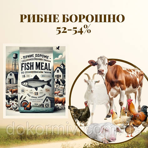 Рибне борошно 52-54% протеїну | 25 кг | Кормова добавка для риби, птиці, свиней, фото 1