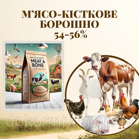 М’ясо-кісткове борошно 54-56% протеїн | для птиці, свиней собак та ВРХ, фото 3