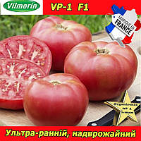Томат ультра-ранній, рожевий ВП 1 F1 / VP 1 F1, ТМ Vilmorin (Франція)