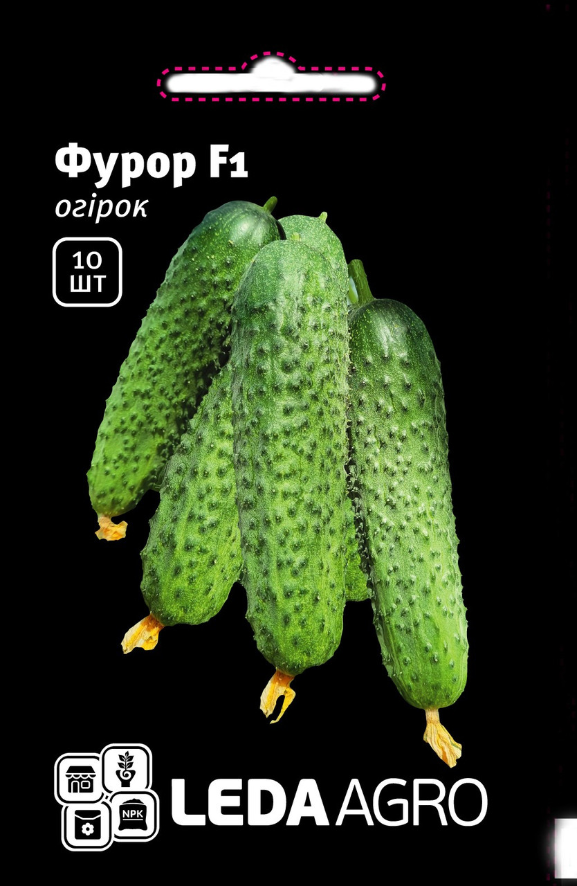Огірок Фурор F1, букетний, 10 шт (Leda Agro), фото 1