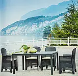 Елегантний комплект меблів на 12 персон QUEEN Folia12 — антрацит, фото 7