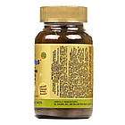 Комплекс мультивітамінів і мінералів для дітей Kangavites, 60 таблеток, зі смаком тропічних фруктів, Solgar, фото 2