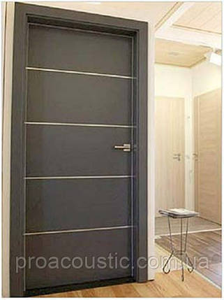 Звукоізоляційні двері PhoneStar, фото 1