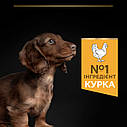 Корм сухий Pro Plan Chiken Puppy Small & Mini для цуценят, 700г (Про план), фото 5