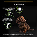 Корм сухий Pro Plan Chiken Puppy Small & Mini для цуценят, 700г (Про план), фото 6