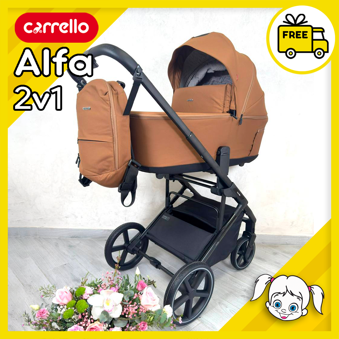 Універсальна коляска 2 в 1 Carrello Alfa CRL-6522