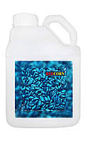 Фарба для насіння синя REDCORN  5 л