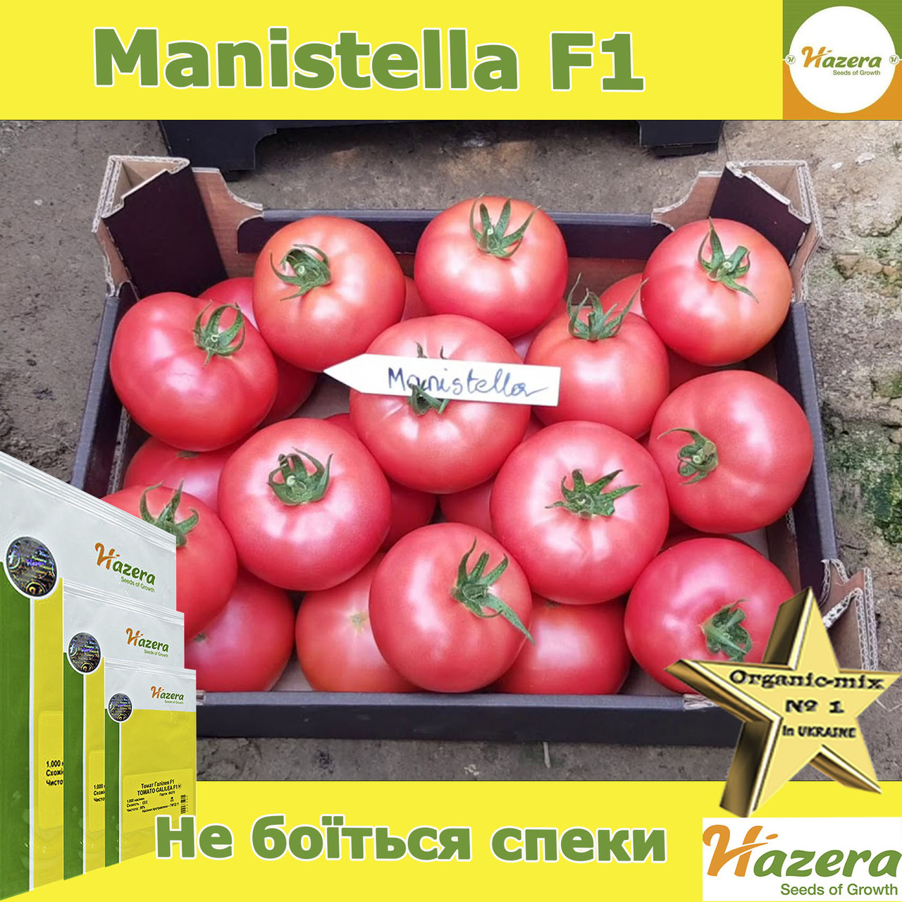 Томат рожевий Маністелла F1 / Manistella F1 ТМ Hazera (Нідерланди), 500 насінин