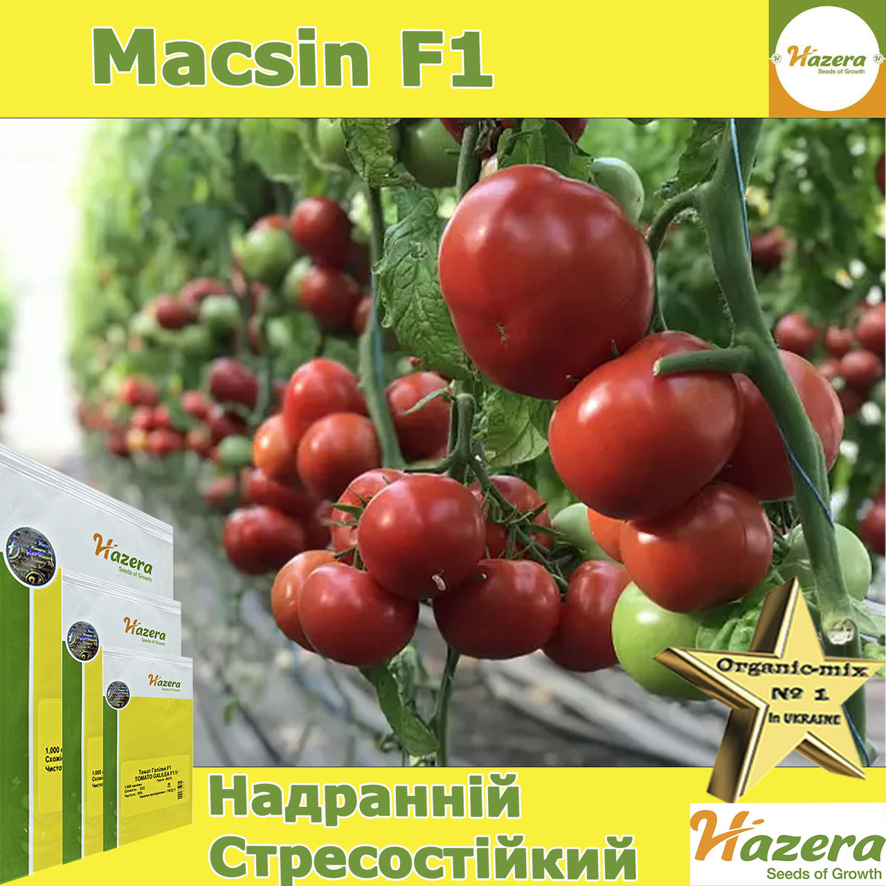 Томат червоний Максін F1 / Macsin F1, ТМ Hazera (Нідерланди), 500 насінин
