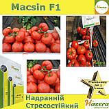 Томат червоний Максін F1 / Macsin F1, ТМ Hazera (Нідерланди), 500 насінин, фото 3