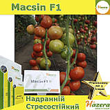 Томат червоний Максін F1 / Macsin F1, ТМ Hazera (Нідерланди), 500 насінин, фото 4