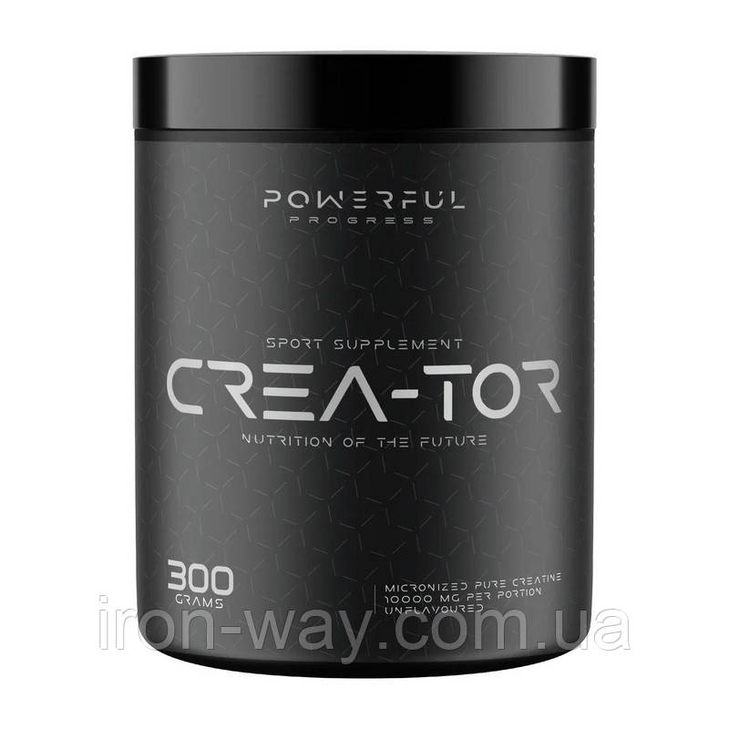 Powerful Progress Crea-Tor Micronized (300 g, unflavored)