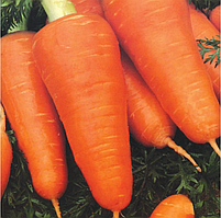 Насіння моркви Шантане Ред Коред ВВ (250 г) Bakker Brothers