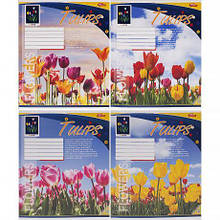 Зошит кольоровий 48 аркушів, клітинка 3784D MZOPT