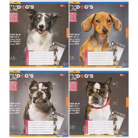 Зошит кольоровий 96 аркушів, клітинка 3727 N MZOPT