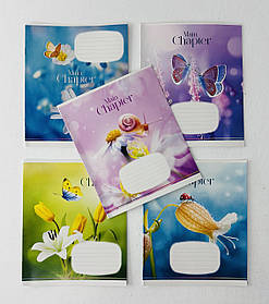 Зошит 12 аркушів коса лінія Main Chapter (3192(12кл)) Школярик