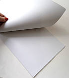 Альбом для малювання 20 аркушів скоба Among Us | альбом для рисования | зошит для малювання |, фото 2