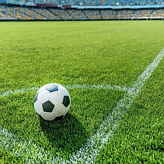 Насіння газонної трави DSV Euro Grass Спортивний газон 1 кг