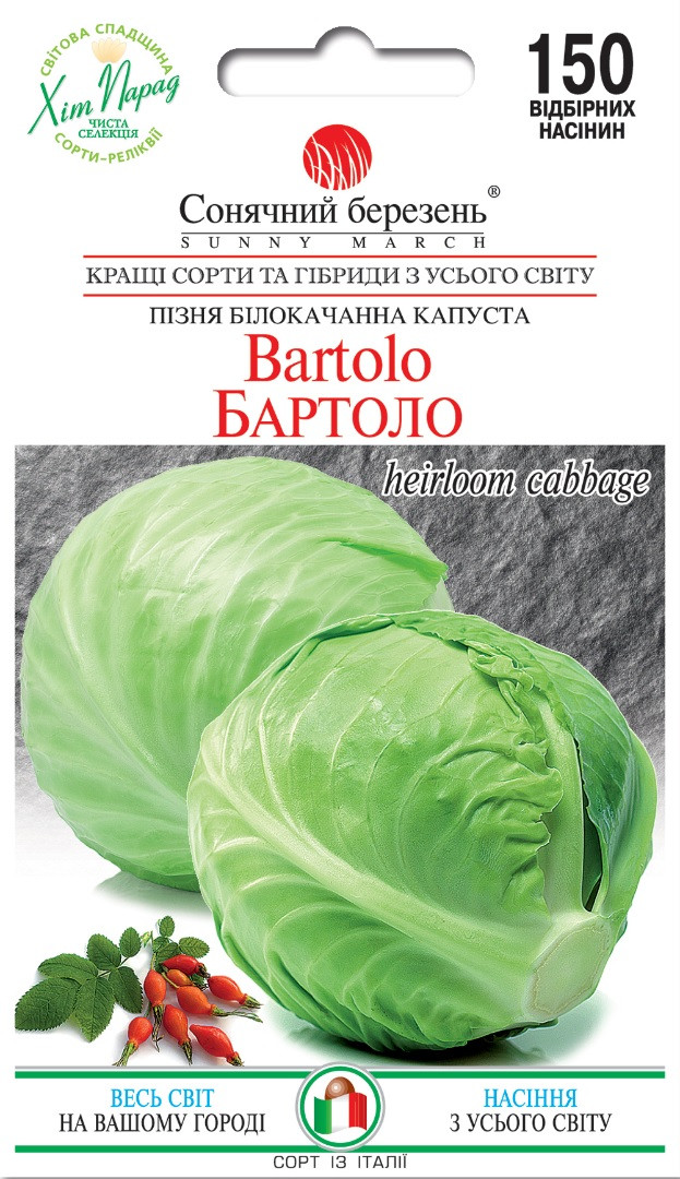 Капуста пізня Бартоло 150 шт Сонячний березень
