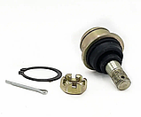 Кульова опора нижня HISUN 1000 ATV Buggy HS5250A-J00000-0200, код ERP PJ000005250A0200 LU021973, фото 2