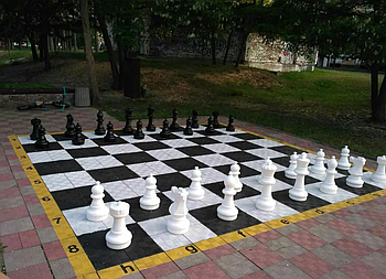 Великі садові (вуличні) шашки + шашки Король 635мм (СШ-25)