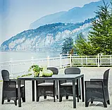 Кес для садової зони Folia у модному антрацитовому кольорі із сірою подушкою, фото 10