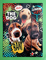 Папка картон на резинці Песики Для хлопчиків Ранок Світогляд