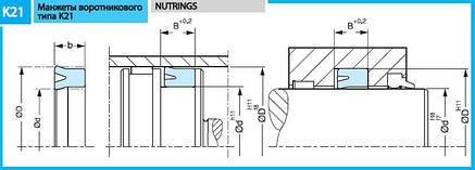 Манжета гідравлічна 18*10*6 K21 PU (K21-010/4), фото 2