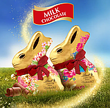 Шоколадний кролик Lindt Floral Gold Bunny Milk Chocolate Easter Bunny 200г, фото 3