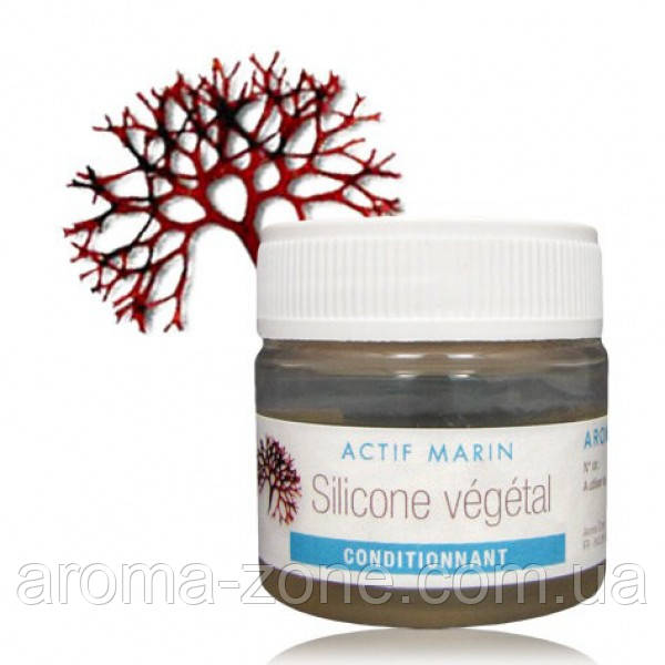 Актив Silicone vegetal (екстракт каррагену), 100 мл.