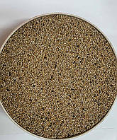 Насіння Гірчиця Біла на сидерат 1 кг (на вагу)