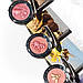 Рум'яна з ефектом сяйва Chantecaille Philanthropy Cheek Shade Compact Horse Joy 2.5 г, фото 6