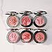Рум'яна з ефектом сяйва Chantecaille Philanthropy Cheek Shade Compact Horse Joy 2.5 г, фото 7