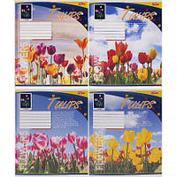 Від 16 шт. Зошит кольоровий 48 аркушів, клітинка 3784D  купити дешево оптом в інтернет-магазині