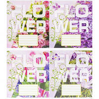 От 16 шт. Зошит кольоровий 24 листи, клітина 3722 D купить оптом