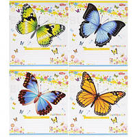 От 16 шт. Зошит кольоровий 24 листи, клітина 3724 D купить оптом