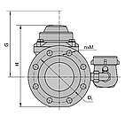Лічильник холодної води комбінований Gross WPVD-UA DN80 L370 мм 63 м³/год R1250 Т50 промисловий, фото 3