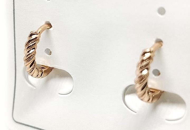 Сережки жіночі н2025, фото 1