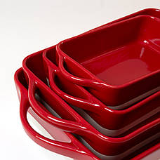 ФОРМА ДЛЯ ЗАПІКАННЯ ПРЯМОКУТНА M (255x144x60мм, Білий/червоний), фото 4