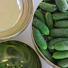 Салатниця-миска  (Нержавіюча сталь), фото 2