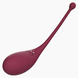 Смарт іграшка Adrien Lastic Inspiration: віброяйце і вакуумний стимулятор з керуванням зі смартфону SO4480, фото 4