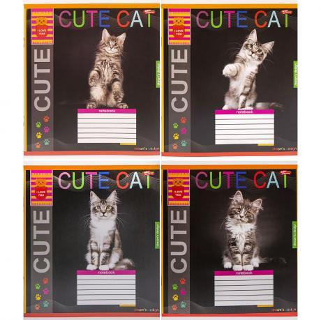 Зошит кольоровий 12 листів, клітина "3701" N MZOPT