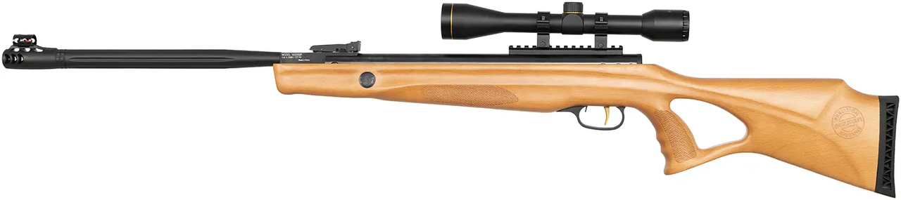 Пневматична гвинтівка Beeman Polar Bear Gas Ram з прицілом 4х32 кал.4,5 (10620GP)