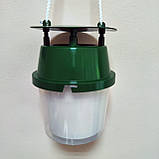 Професійна феромонная пастка молі Medchem, фото 2