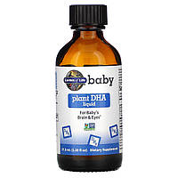 Рослинна ДГК для дітей, Baby Plant DHA, Garden of Life, рідка, 37.5 мл